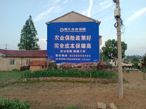 澄城墙体广告的优劣势你知道吗？