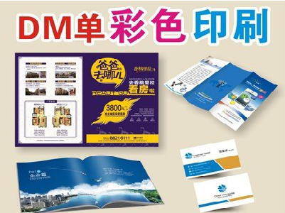 澄城单页印刷，色彩搭配简单。